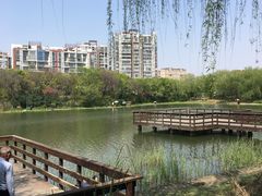 -新江湾城公园