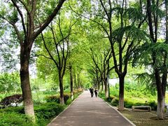 -金银湖国家城市湿地公园