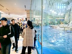 -帝企鹅自助餐厅•儿童岛•真企鹅(长隆企鹅酒店)