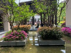-上海崇明金茂凯悦酒店