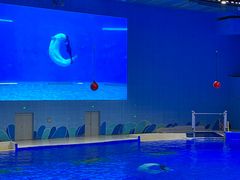 -辛玛王国游乐园