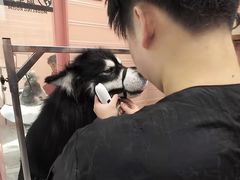 -FAELING PETS美天灵宠物(合生汇店)