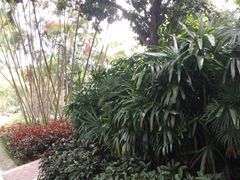 -人民公园(罗湖区)