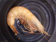 -欢乐海岸美食联盟