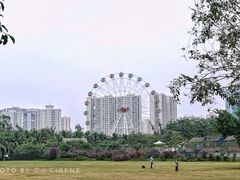 -万绿园