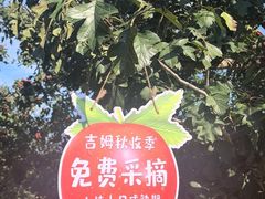 -吉姆冒险世界(蓟州店)