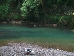 -三峡人家风景区