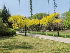-南翠屏公园