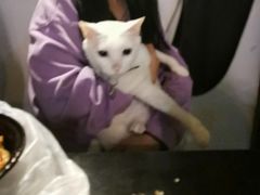 -Doors独立剧情密室(东门分店)