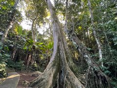 -中国科学院西双版纳热带植物园