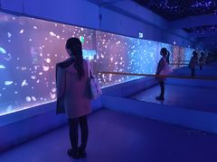 -中央电视塔旋转餐厅