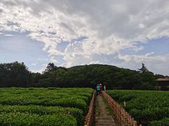 -中国茶叶博物馆(双峰馆区)