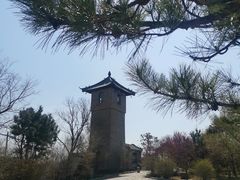 -爱新觉罗皇家博物院