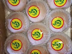 -铭洋专业采耳(田子坊店)