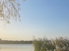 -绿堤公园