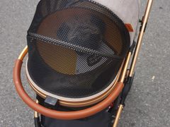 -芭比堂宠物医院·全科爱猫医院·仁德分院