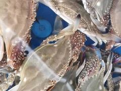-清真海鲜大排档(原芥园道店)