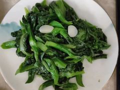 -大班家政月嫂育儿嫂(广州NO.1店)