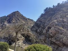 -大连金龙寺国家森林公园-售票处
