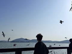 -蠡湖大桥公园