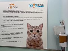 -纳吉亚猫专科动物医院博雅分院