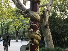 -杭州黄龙洞