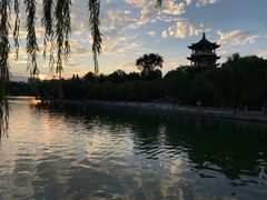 -莱西月湖公园