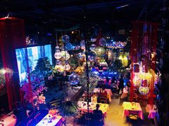 -胡桃里音乐酒馆(四道口店)