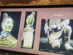 -秦始皇帝陵博物院(兵马俑)
