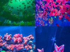 -海合安青岛极地海洋公园