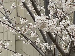 -山东省千佛山医院