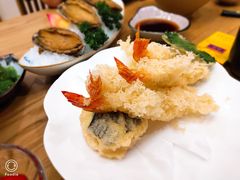 -一本钓鲔鱼屋