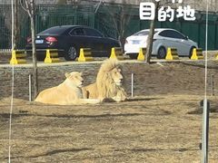 -秦皇岛野生动物园