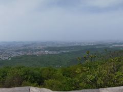 -紫金山山顶公园