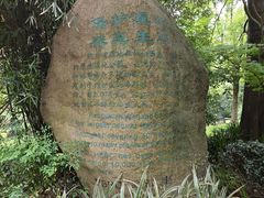 -上海吴淞炮台湾国家湿地公园