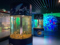 -沙沙哗啦海洋馆(华宇百花谷店)