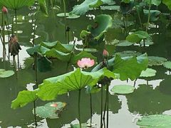 -汕头中海黄金海岸水上乐园
