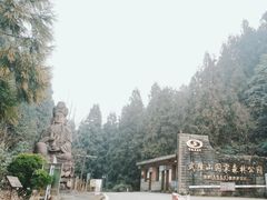 -武陵山森林公园