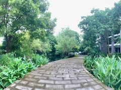 -杭州西溪喜来登度假大酒店