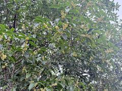 -白塘生态植物园