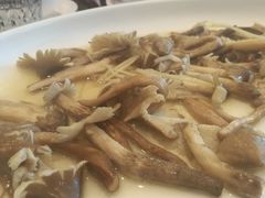 荔枝菌-花城苑广府菜(侨鑫店)