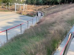 -牛岗山公园