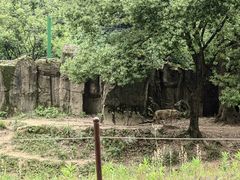 -杭州野生动物世界