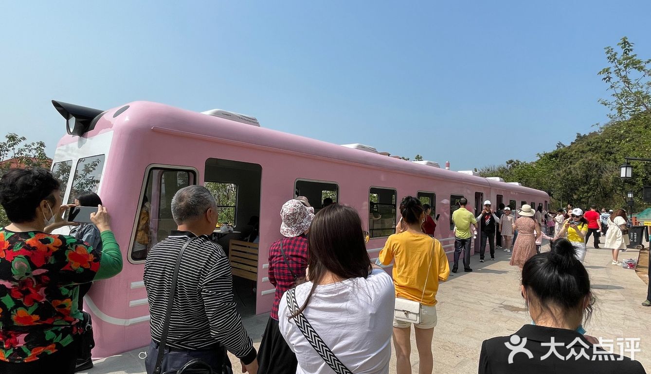 樱花已谢，游乐园永存