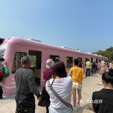 樱花已谢，游乐园永存
