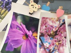 -柯达靓之彩影像网络(明瓦廊店)