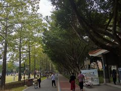 -顺峰山公园