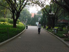 小道-东风公园