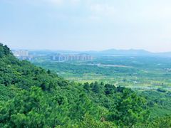 -南京市无想山景区