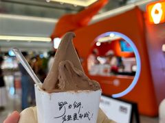 -野人先生现做冰淇淋(北京王府井东方新天地店)